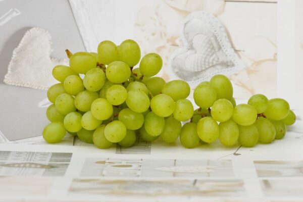 grapes|angur
