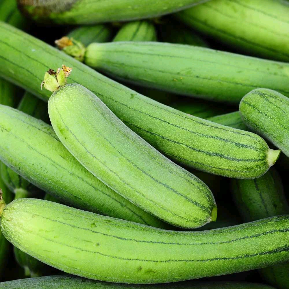 Sponge gourd 1kg